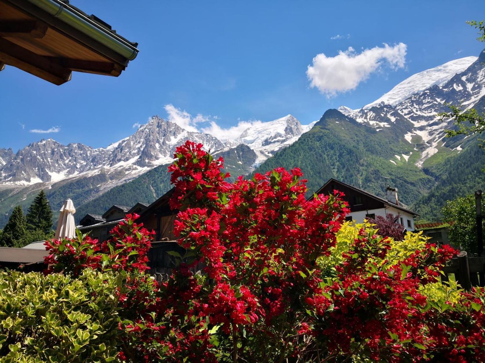 Les Chalets du Bonheur Les Houches Extérieur photo